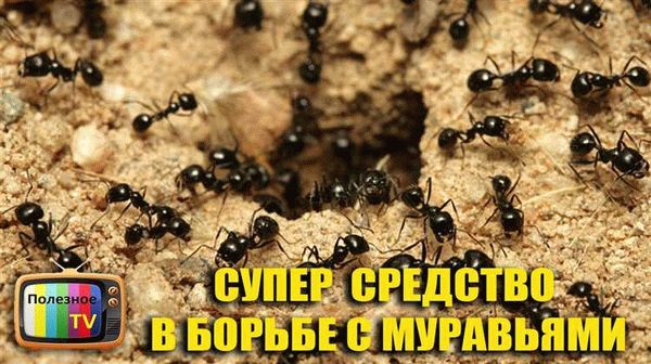 Вещества, отпугивающие муравьев: работают или нет?