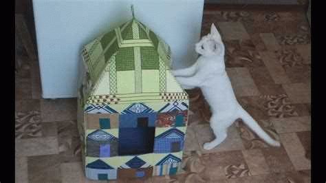 «Встроенный» домик для кошки - уникальный подход к созданию домика внутри мебели
