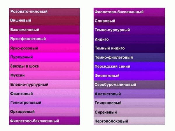 Использование фиолетового цвета при отделке помещений