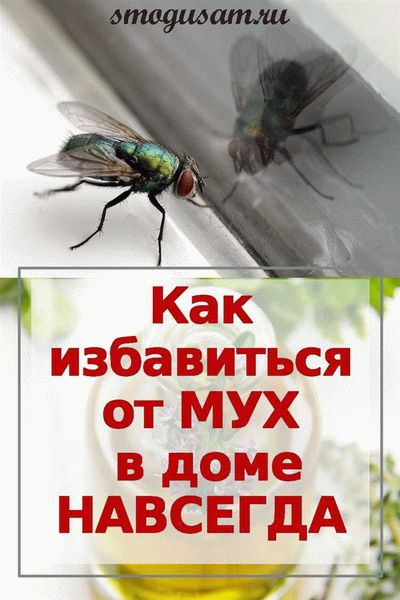 4. Окровавленная муха