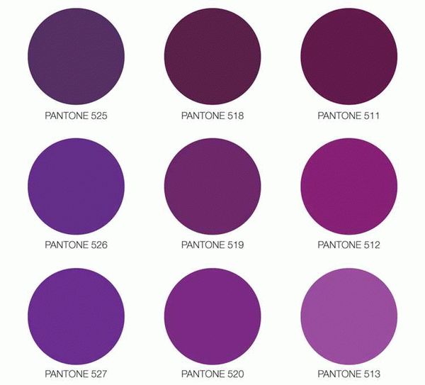 Разные оттенки фиолетового